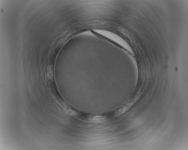 X0000074020467200609111653