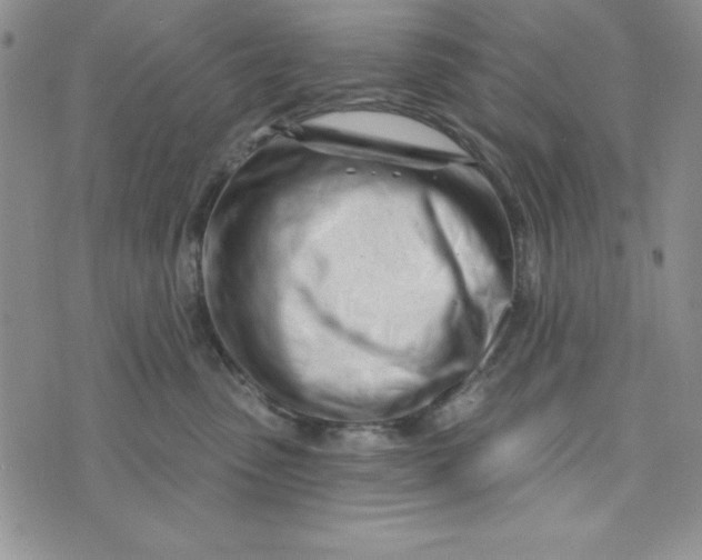X0000074020475200609111653
