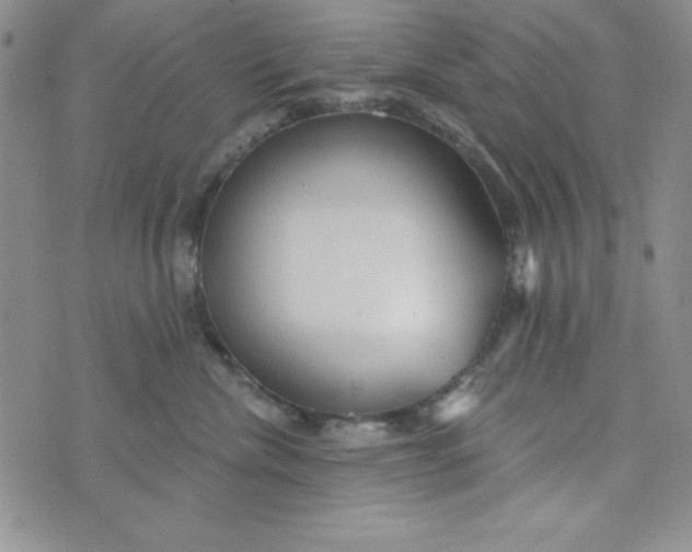 X0000074020476200609111653