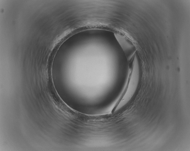 X0000074020488200609111652