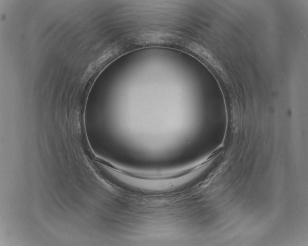 X0000074020489200609111652