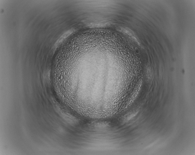 X0000074020491200609111652