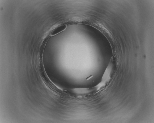 X0000074020492200609111652