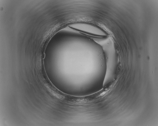 X0000074020493200609111652
