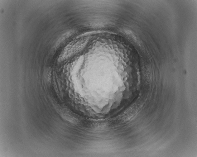X0000074020495200609111652