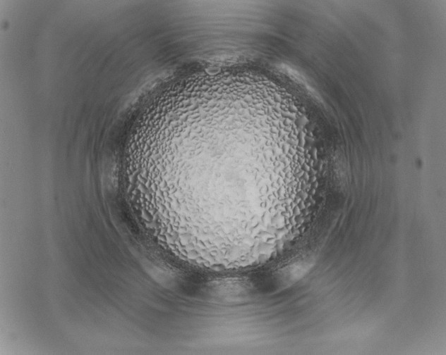 X0000074020499200609111652