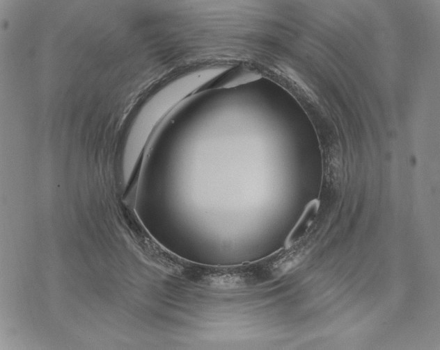 X0000074020500200609111652
