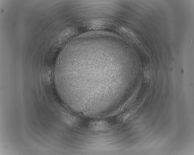 X0000074020503200609111652