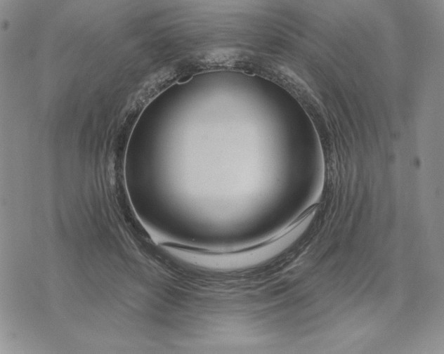 X0000074020504200609111652