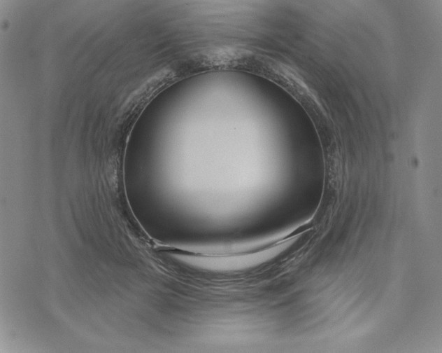 X0000074020505200609111652