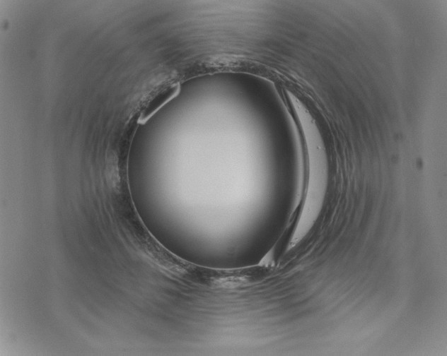 X0000074020508200609111652