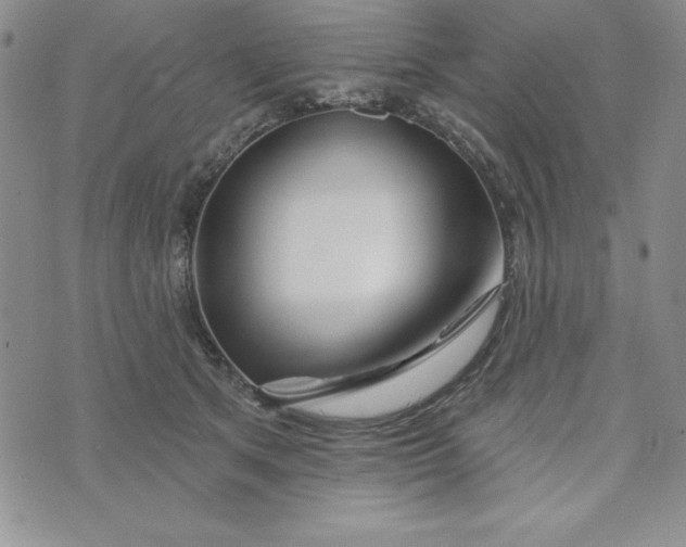 X0000074020513200609111652