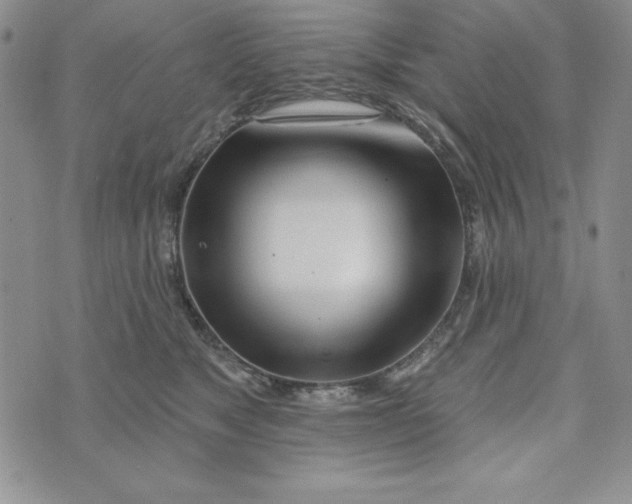 X0000074020517200609111652