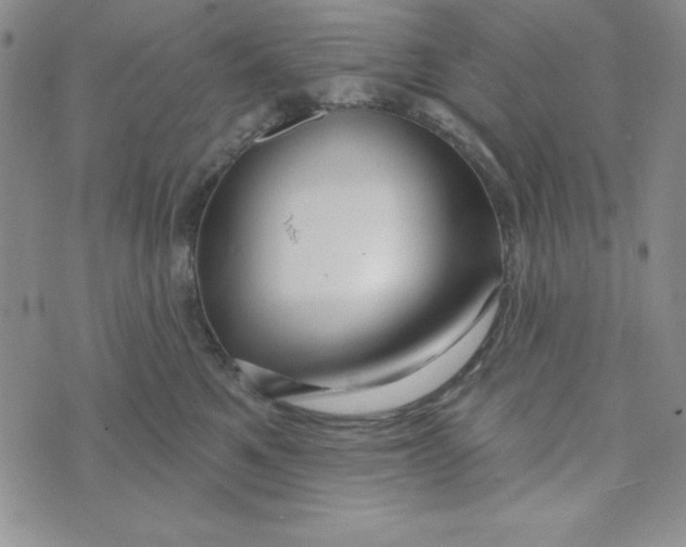 X0000074020521200609111652