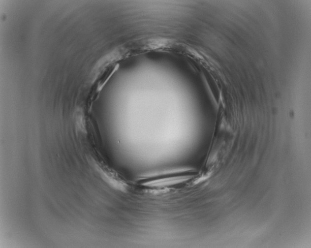 X0000074020524200609111652