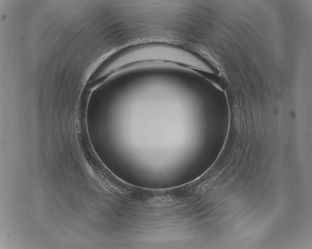 X0000074020536200609111651