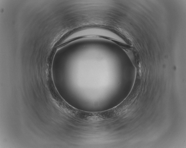 X0000074020544200609111651