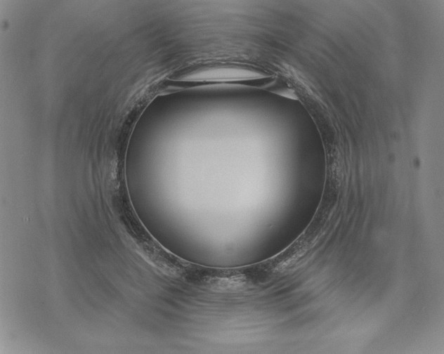 X0000074020548200609111651