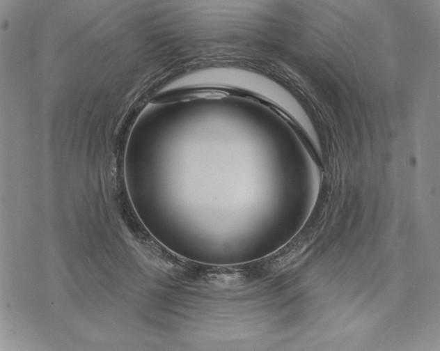 X0000074020552200609111651