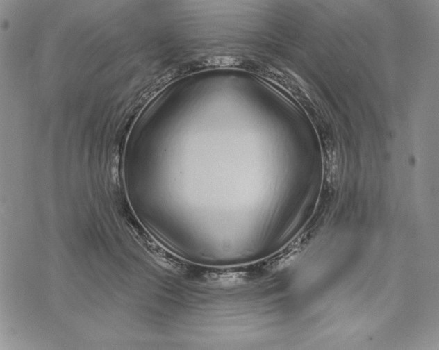X0000074020553200609111651