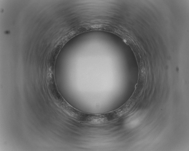 X0000074020555200609111651
