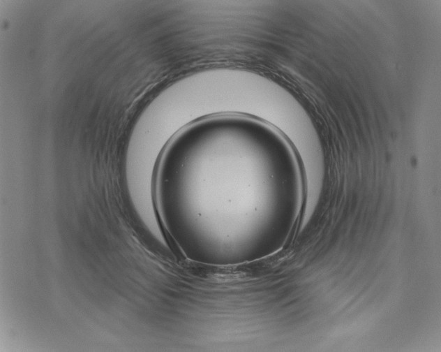 X0000074020556200609111651