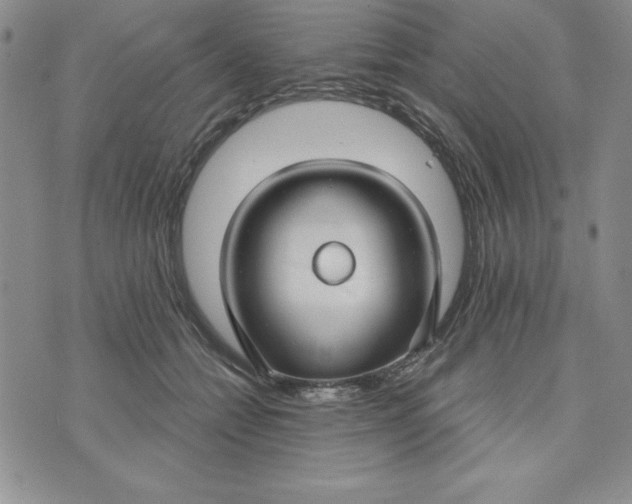 X0000074020558200609111651