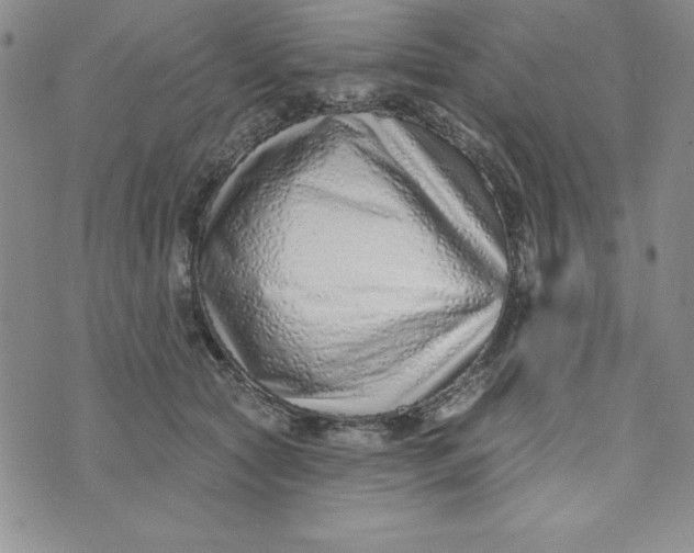 X0000074020561200609111651