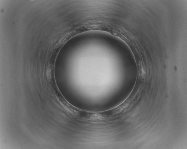 X0000074020562200609111651