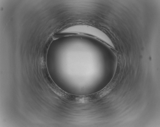 X0000074020564200609111651