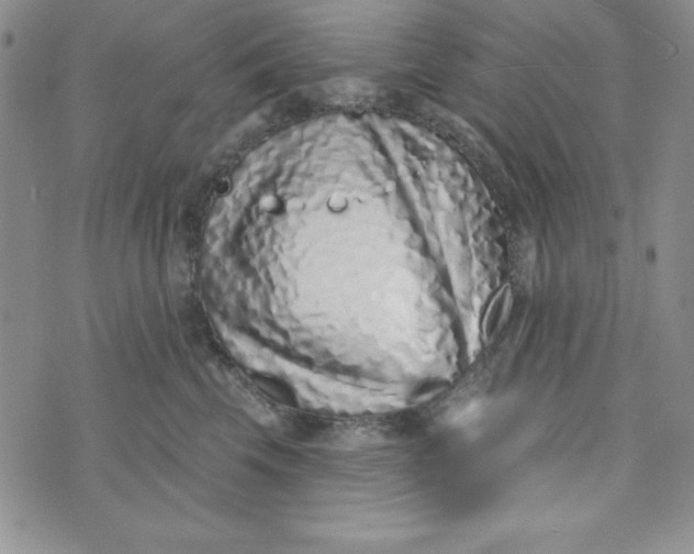 X0000074020569200609111651