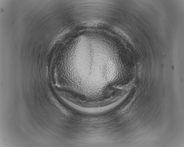 X0000074020589200609111651