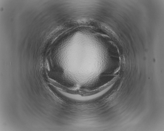 X0000074020593200609111651