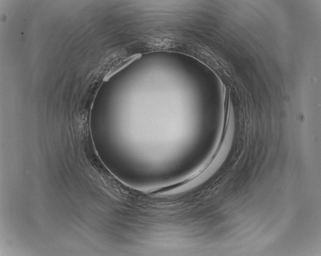 X0000074020601200609111650