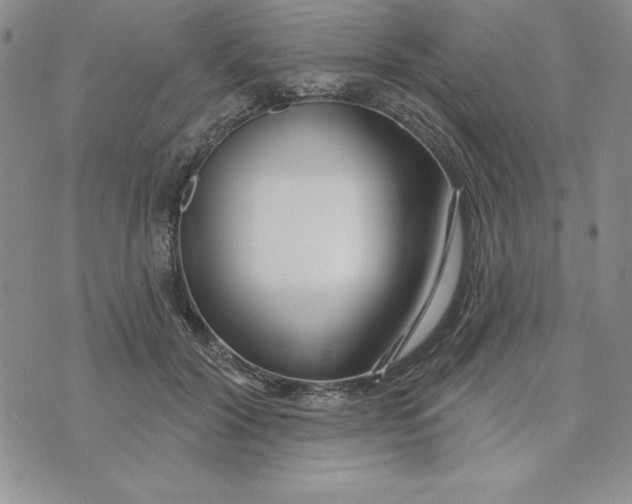 X0000074020604200609111650
