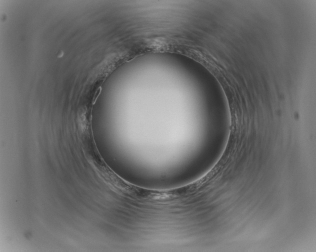 X0000074020611200609111650