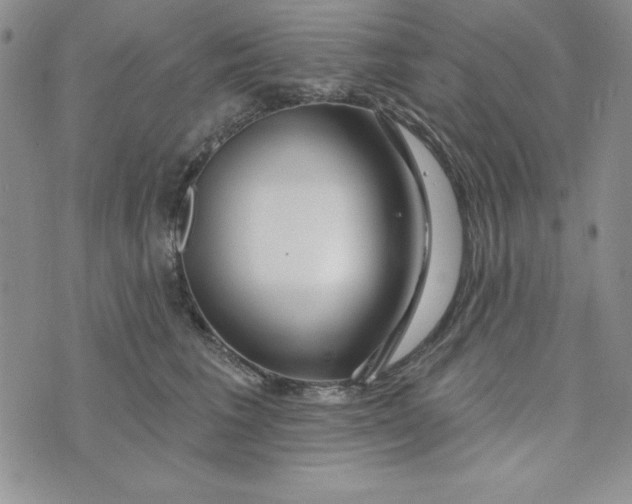 X0000074020613200609111650