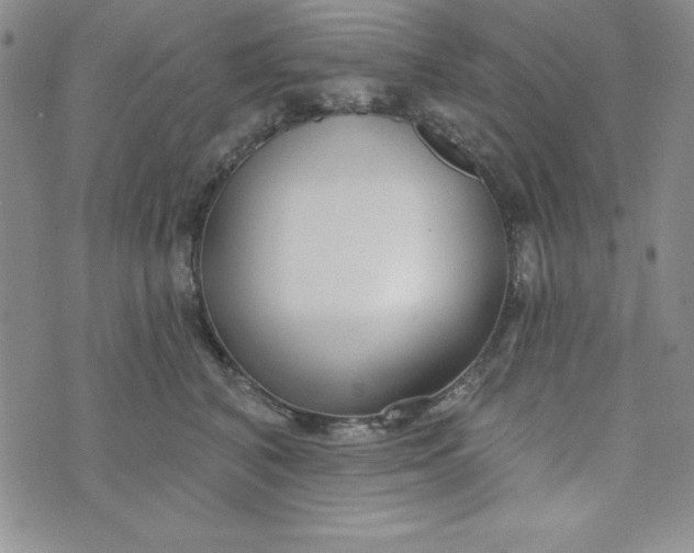 X0000074020616200609111650