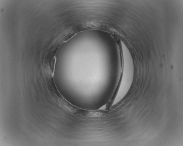 X0000074020617200609111650