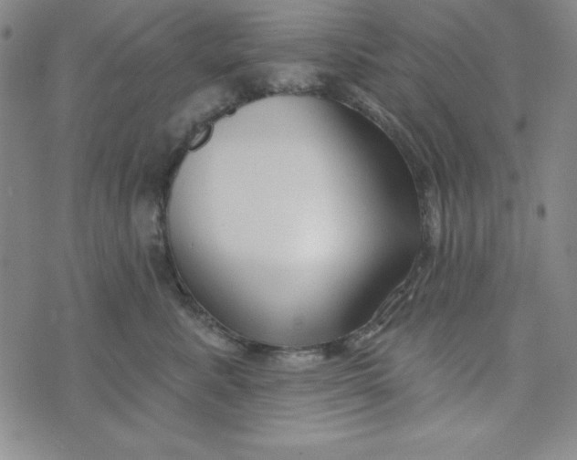X0000074020619200609111650