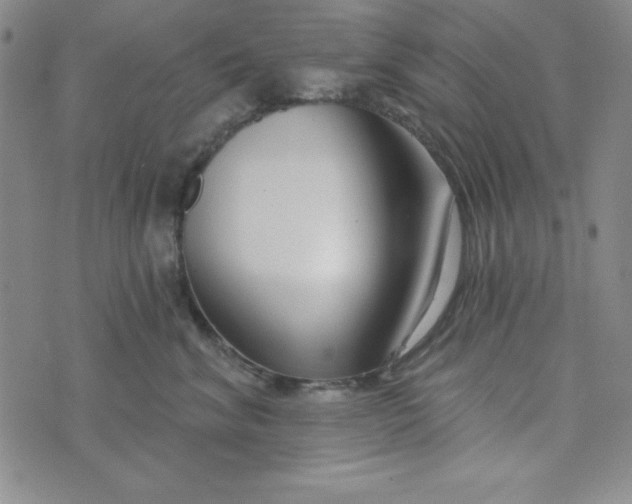 X0000074020620200609111650