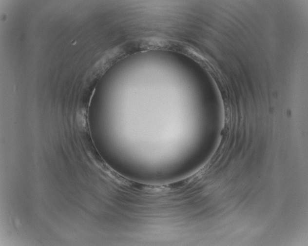 X0000074020621200609111650