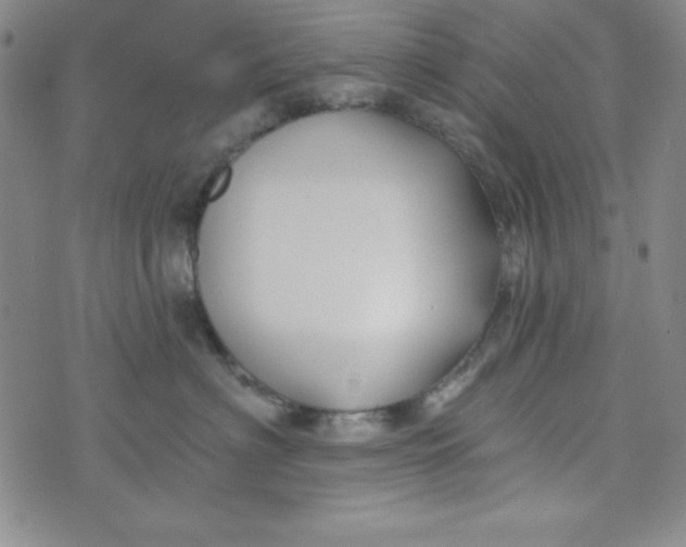 X0000074020622200609111650