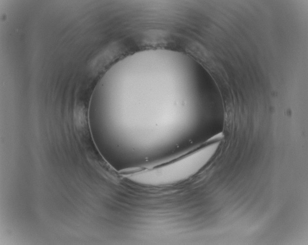 X0000074020623200609111650