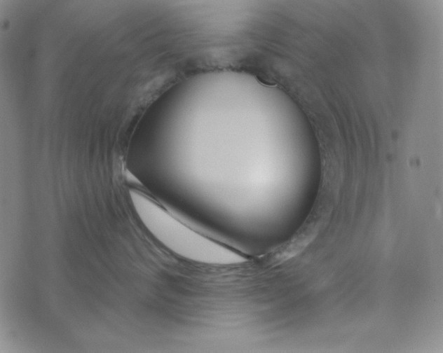 X0000074020624200609111650