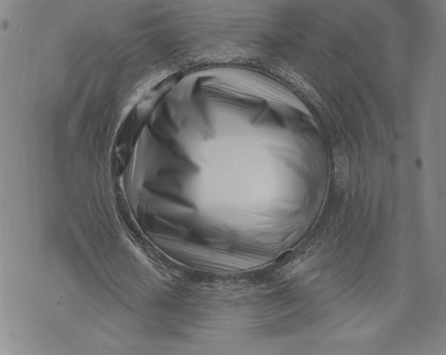 X0000074020626200609111649