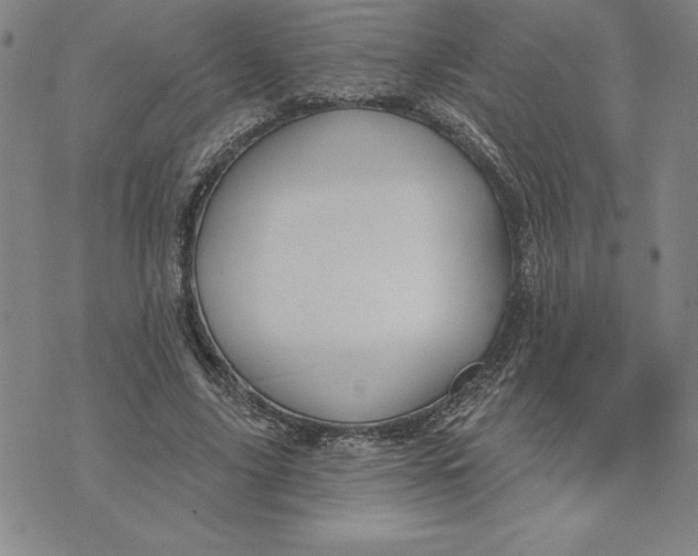 X0000074020635200609111649