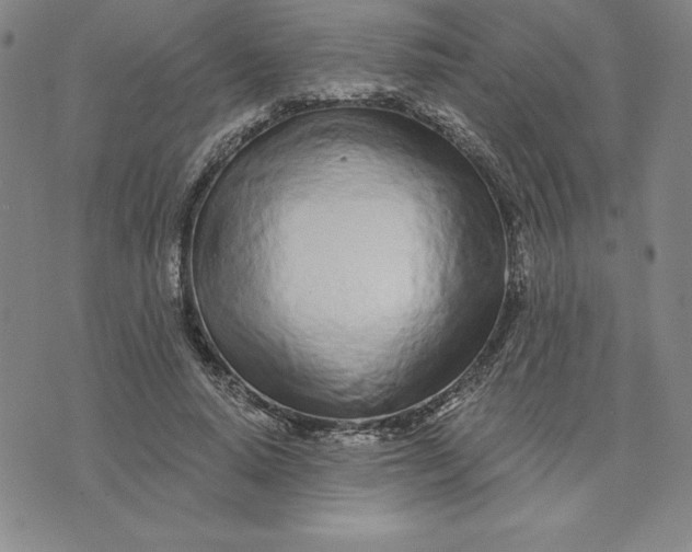 X0000074020640200609111650