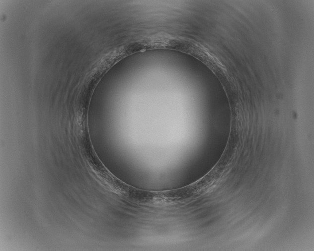 X0000074020641200609111650
