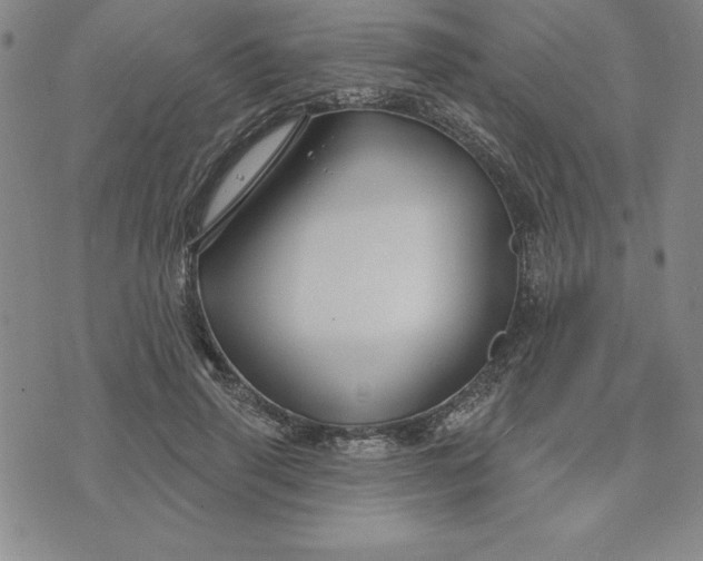 X0000074020645200609111650